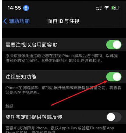 高埗镇苹果14维修网点分享iPhone14注视感知功能有什么用 