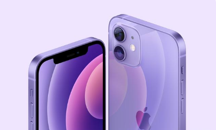 高埗镇苹果手机维修分享紫色版iPhone 12有什么技术亮点 